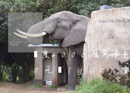 額度2000信用卡逾期(信用卡逾期2000元嚴(yán)重嗎)