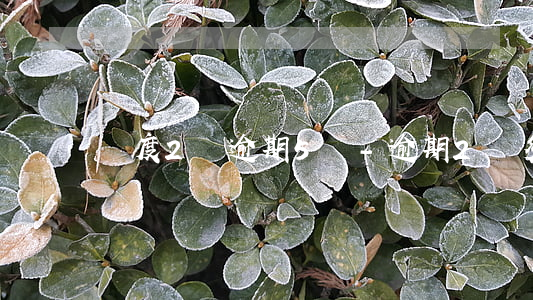 額度2萬逾期5萬-逾期2萬多久會被起訴