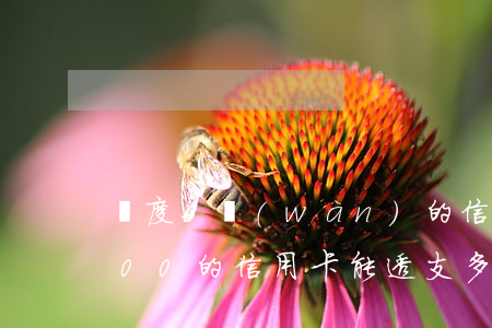 額度6萬(wàn)的信用卡能透支嗎(6000的信用卡能透支多少)