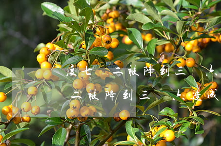 額度七萬二被降到三萬六造成逾期-額度七萬二被降到三萬六造成逾期怎么辦