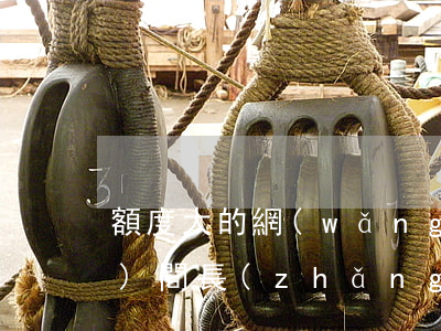 額度大的網(wǎng)貸逾期時(shí)間長(zhǎng)了怎么辦-額度大的網(wǎng)貸逾期時(shí)間長(zhǎng)了怎么辦呢