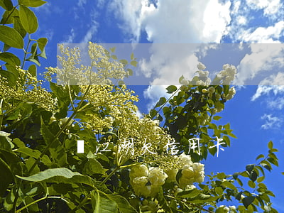 顧江湖欠信用卡