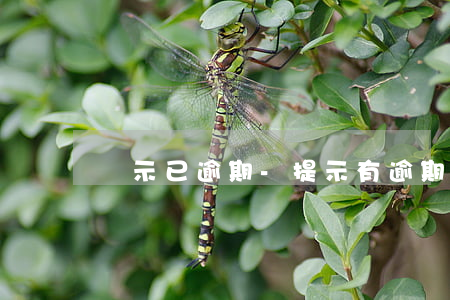 顯示已逾期-提示有逾期但不知道是哪