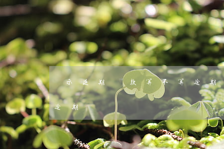 顯示延期還款算不算逾期(還款拖延一天屬于逾期嗎)
