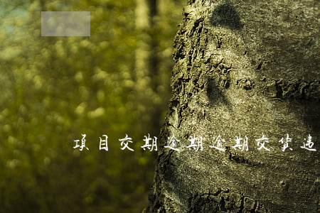 项目交期逾期 逾期交货违约金