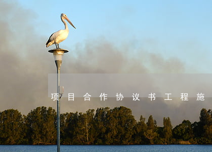 项目合作协议书(工程施工项目合作协议书)