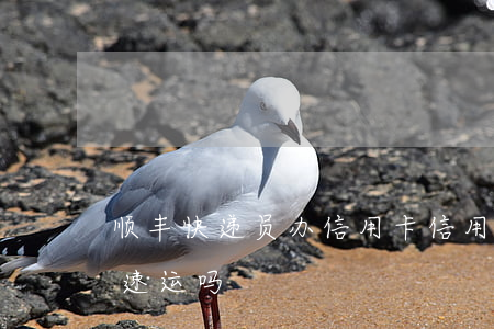 顺丰快递员办信用卡（信用卡逾期能入职顺丰速运吗）