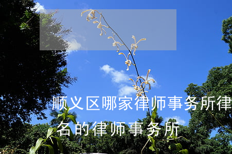 顺义区哪家律师事务所律师最好(顺义区最有名的律师事务所)
