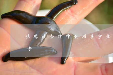 顺德债务律师费用多少(顺德债务律师费用多少)