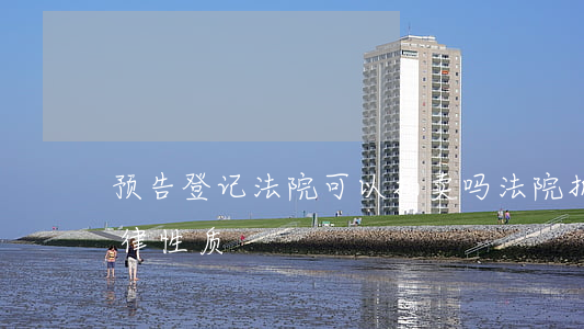 预告登记法院可以拍卖吗(法院拍卖公告的法律性质)