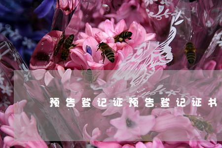 预告登记证(预告登记证书一般什么时候收到)