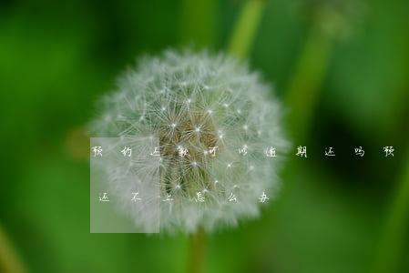 预约还款可以逾期还吗(预约的提前还款到期还不上怎么办)