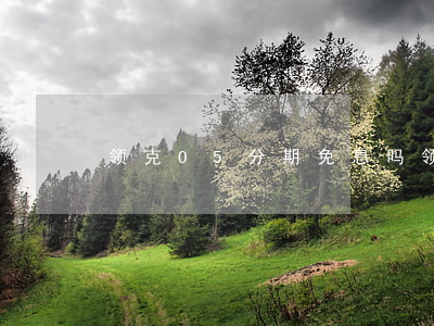 领克05分期免息吗(领克05分期手续费)