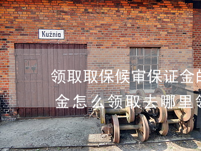 领取取保候审保证金的流程(取保候审的保证金怎么领取,去哪里领取)