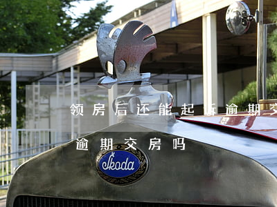 领房后还能起诉逾期交房吗(领房后还能起诉逾期交房吗)