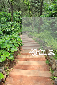 领证三小时闹离婚(领证一个月离婚)