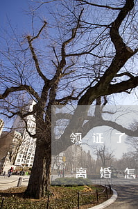 领证了男方不同意离婚(两个人结婚没有领证离婚怎么办)