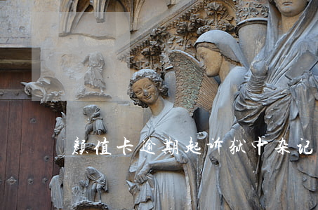 颜值卡逾期起诉(狱中杂记逐句翻译)