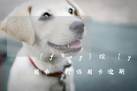 風(fēng)控嚴(yán)格的銀行信用卡（銀行信用卡逾期風(fēng)控上海）