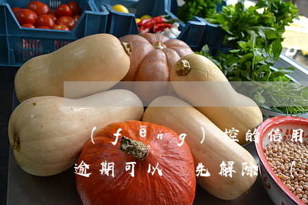 風(fēng)控的信用卡怎么解除（信用卡逾期可以讓先解除風(fēng)控嗎）
