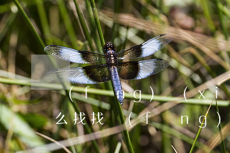 風(fēng)險(xiǎn)代理律師怎么找(找風(fēng)險(xiǎn)代理律師事務(wù)所)