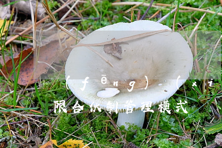 風(fēng)險(xiǎn)投資基金有限合伙制管理模式