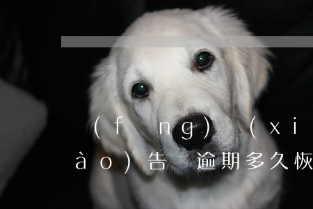 風(fēng)險(xiǎn)評估報(bào)告單逾期多久恢復(fù)正常-風(fēng)險(xiǎn)評估報(bào)告單逾期多久恢復(fù)正常使用