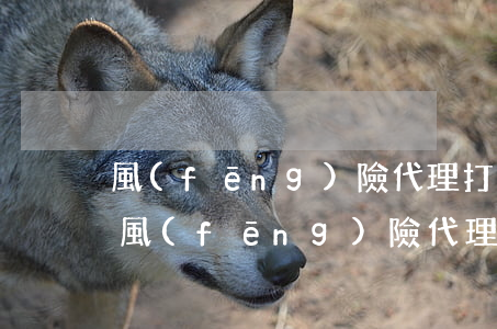 風(fēng)險代理打官司靠譜嗎(打官司風(fēng)險代理費標(biāo)準(zhǔn))