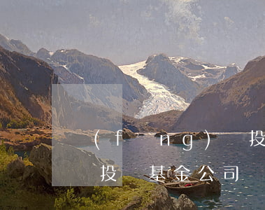 風(fēng)險投資基金(風(fēng)險投資基金公司)