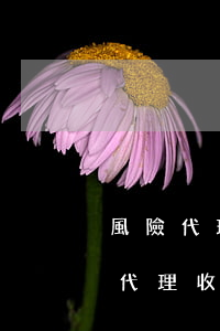 風險代理律師費法院支持嗎(律師打官司風險代理收費的標準)