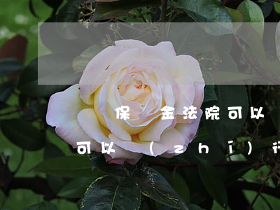 風險保證金法院可以執(zhí)行嗎(法院可以執(zhí)行質(zhì)保金嗎)