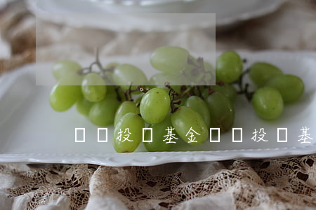 風險投資基金(風險投資基金公司)