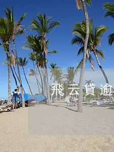 飛云貸逾期后自動還款(飛貸可以延期還款嗎)