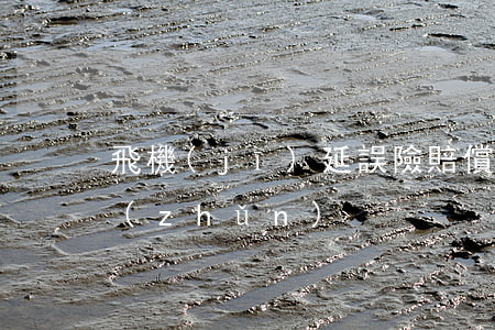 飛機(jī)延誤險賠償標(biāo)準(zhǔn)