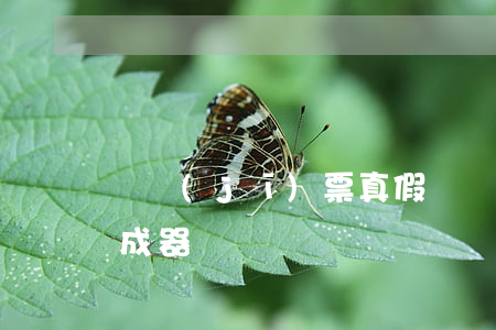 飛機(jī)票真假(飛機(jī)票真假生成器)
