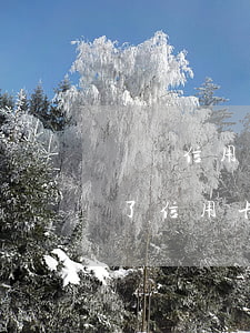 飛豬信用卡逾期會(huì)上門嗎(快過年了信用卡逾期會(huì)上門嗎)