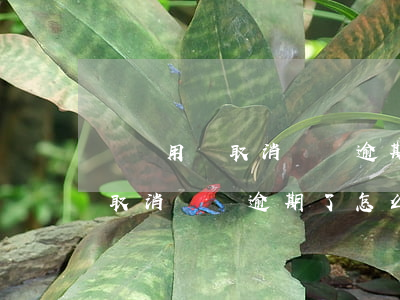 飛豬用戶取消訂單逾期了怎么辦-飛豬用戶取消訂單逾期了怎么辦理