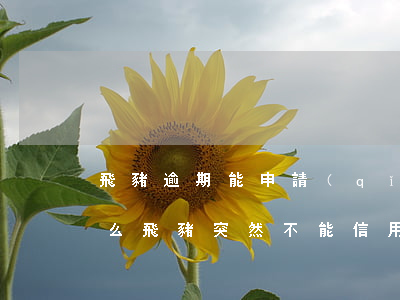 飛豬逾期能申請(qǐng)信用卡嗎(為什么飛豬突然不能信用住)