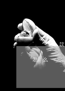 飛貨貸款還不起(飛貸借錢不還會(huì)怎么樣)