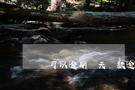 飛貸可以逾期幾天(貸款逾期多久不能坐飛機)