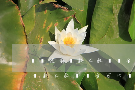 飛貸提前還款不收違約金可以嗎-飛貸提前還款不收違約金可以嗎安全嗎