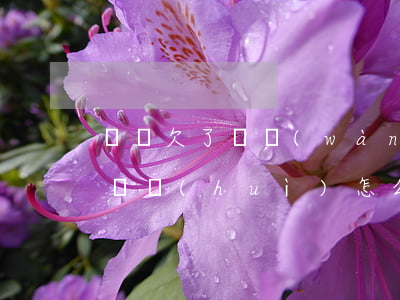 飛貸欠了幾萬(wàn)不還了(飛貸借錢不還會(huì)怎么樣)