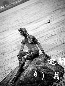 飛貸逾期一個(gè)月(飛貸逾期三個(gè)月說(shuō)要起訴是不是真的)