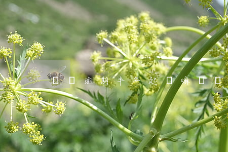 飛貸逾期半年起訴嘛 飛貸逾期后果怎么樣