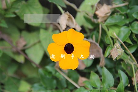 飛貸逾期多久起訴(飛貸會(huì)起訴么)