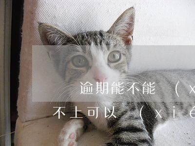 飛貸逾期能不能協(xié)商還款(飛貸還不上可以協(xié)商嗎)
