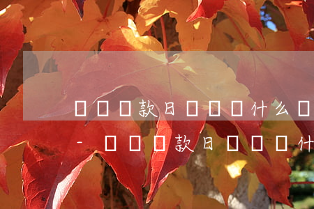飛貸還款日賬戶錢什么時(shí)候扣除-飛貸還款日賬戶錢什么時(shí)候扣除的