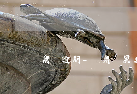 飛鼠貸逾期-飛鼠貸黑名單可以過嗎