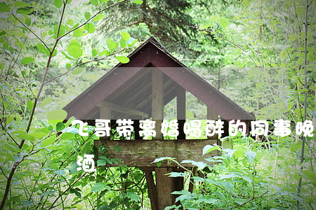 飞哥带离婚喝醉的同事(晚上,我找教练飞哥喝酒)