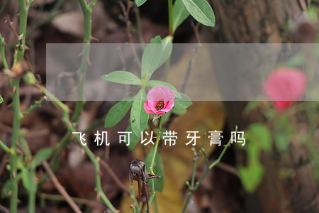 飞机可以带牙膏吗